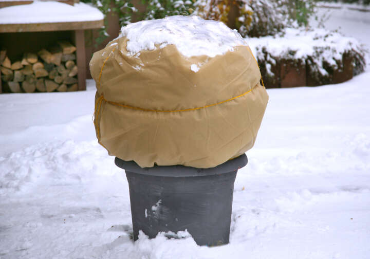 floraworld Wintervlies Classic